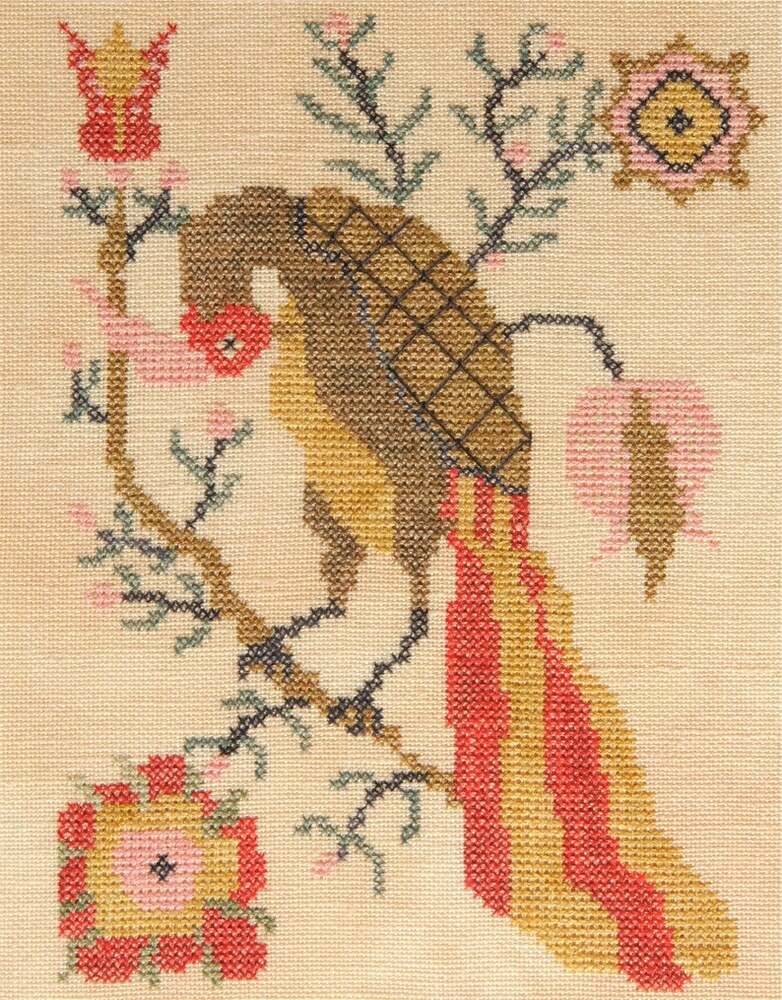dames035