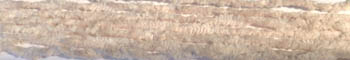 ftcd167